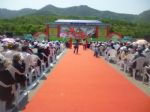 青島專業慶典禮儀策劃服務 點亮城市盛會，演繹品牌魅力